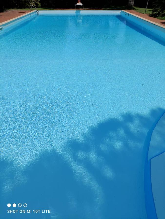 Villa Degli Agrumi パレルモ エクステリア 写真